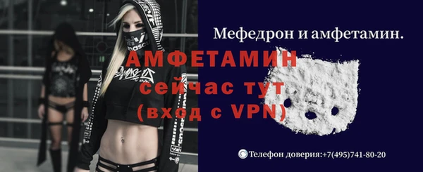 стафф Володарск