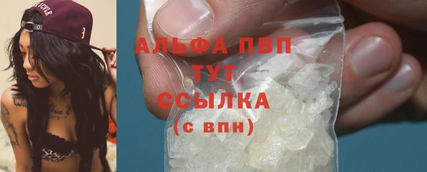стафф Володарск