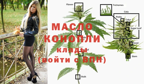 стафф Володарск