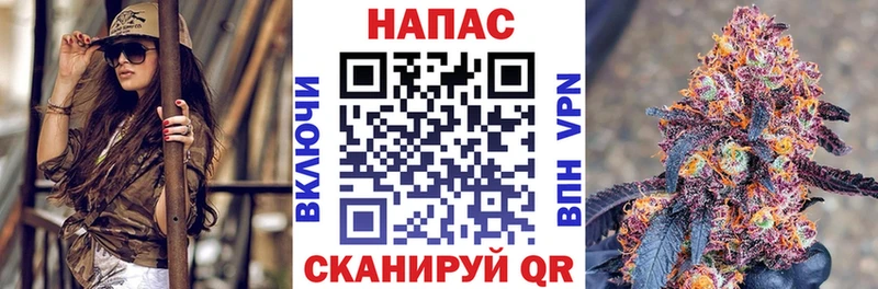 где найти наркотики  Мосальск  Бошки марихуана сатива 